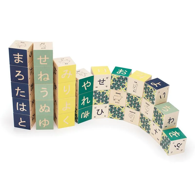 Japanese Alphabet Wooden Blocks