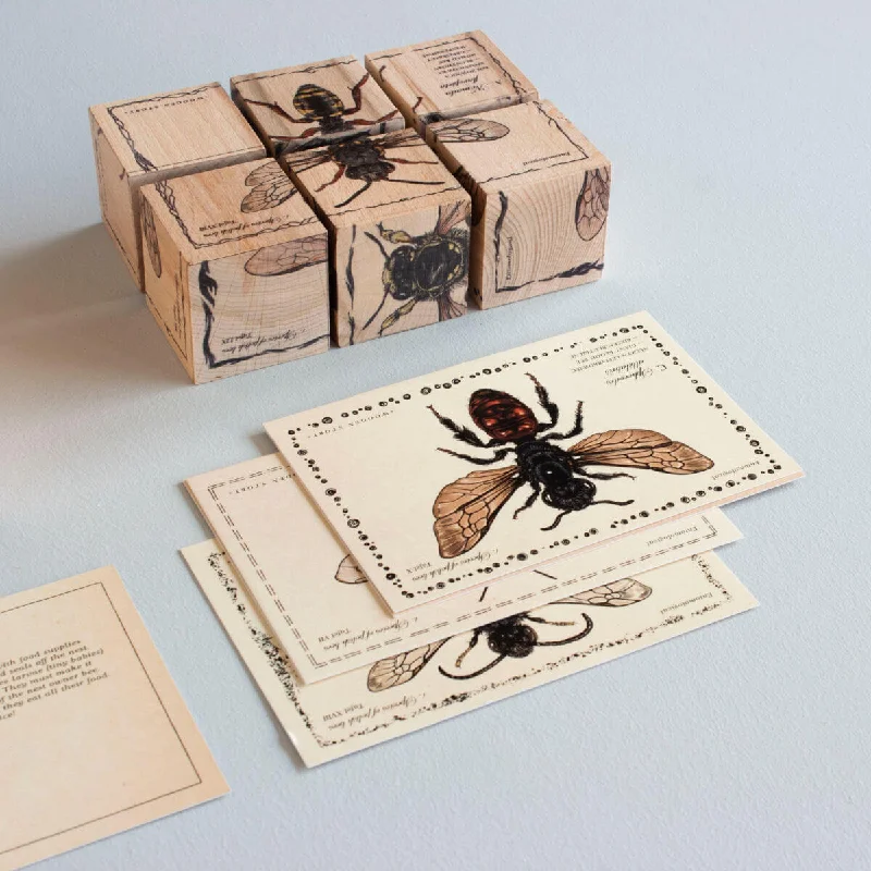 Wooden Blocks - Species of Bees