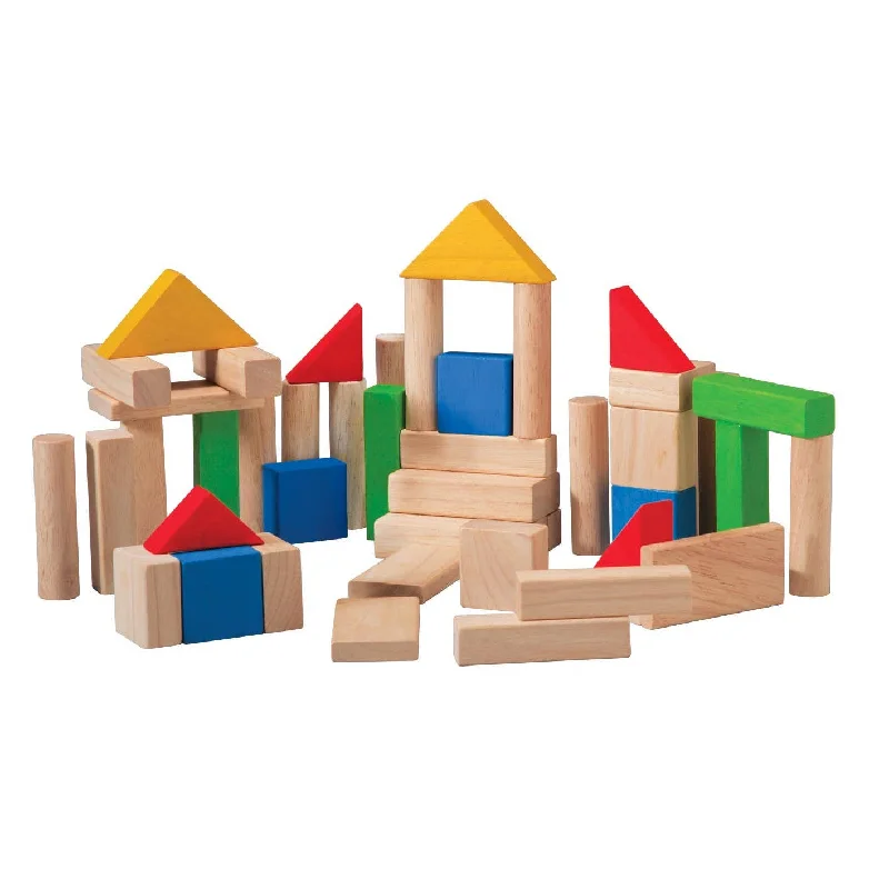 50 Natural and Colored Wooden Block Playset