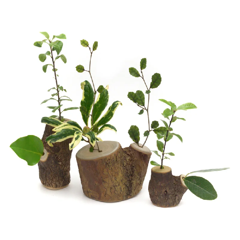 STORY TREES <br> set of three