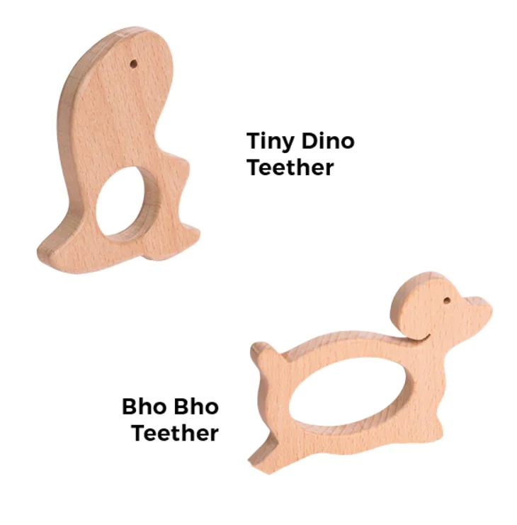 Tiny Dino and Bho Bho Teether Set