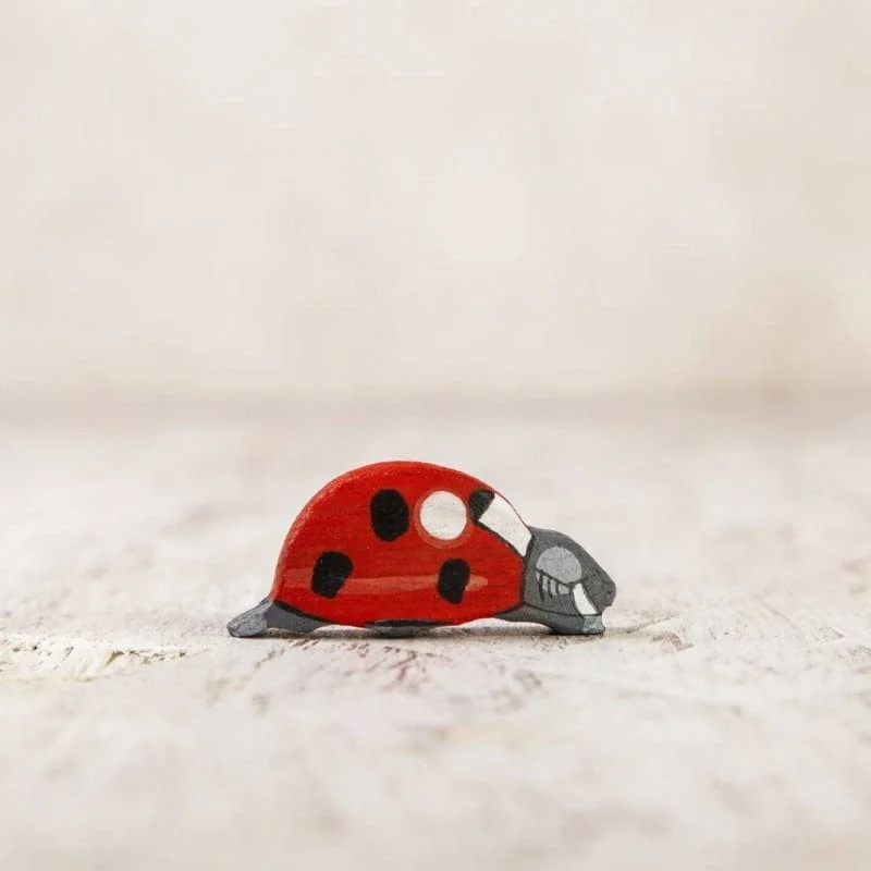 Wooden Ladybug Toy